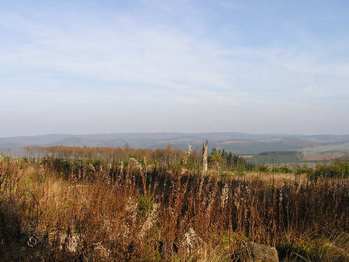 Vom Heidstock der Blick in Richtung Hunau. Der Gipfel der Hunau zählt zu den 800ern des Sauerlandes. Auch er wurde bereits bestiegen.